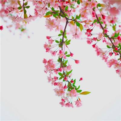 逍遥津破解版手游下载